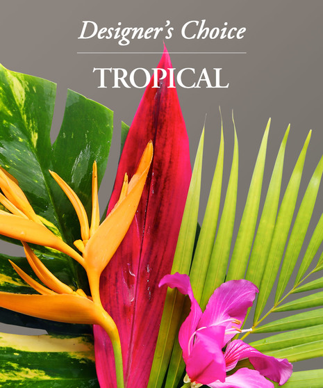 Tropical Allure - Designer Original