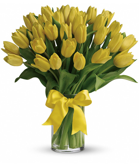 Sunny Yellow Tulips