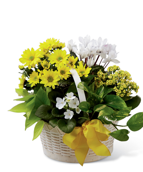 A Bit of Sunshine Basket