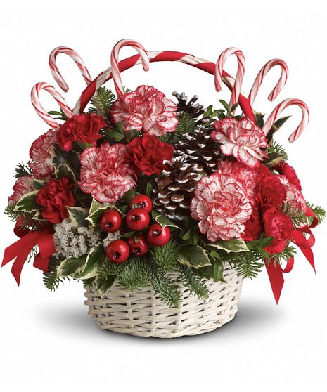 Candy Cane Christmas