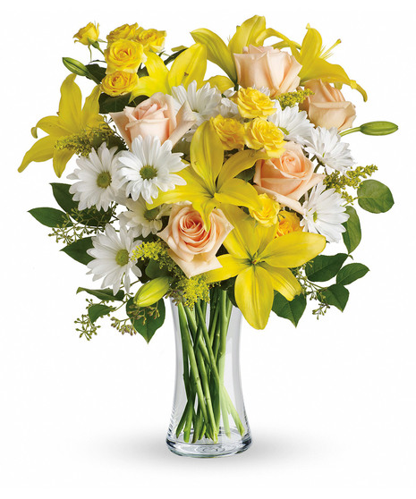 Daisies and Sunbeams