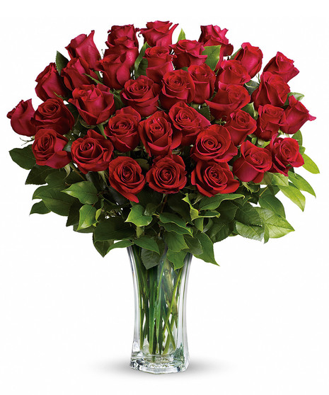Love and Devotion - Long Stemmed Red Roses
