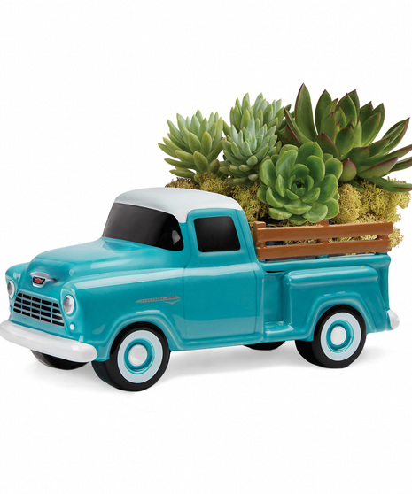 Perfect Chevy Pickup