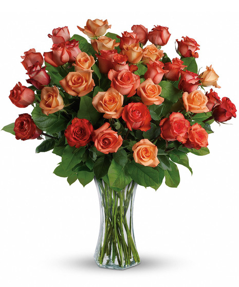 Roses
